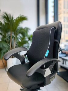 Back Support Pillow